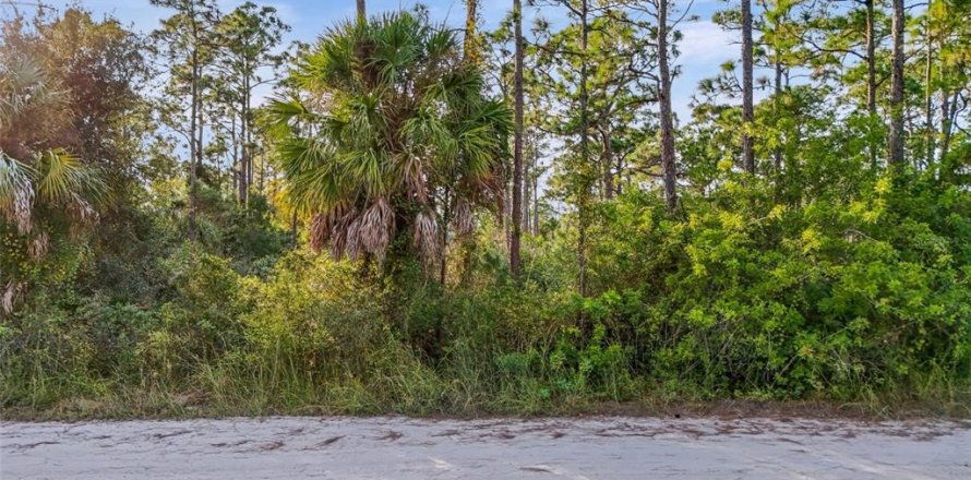 Terreno en Punta Gorda, Florida № 2155526