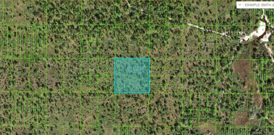 Terreno en Frostproof, Florida № 2095921