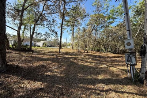 Land in Homosassa, Florida № 2098755