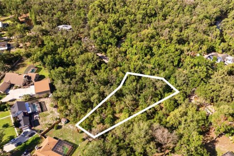 Terreno en venta en Brandon, Florida № 2107201 - foto 4