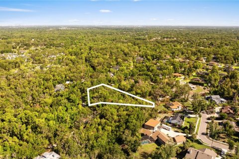 Terreno en venta en Brandon, Florida № 2107201 - foto 2