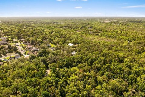 Terreno en venta en Brandon, Florida № 2107201 - foto 5