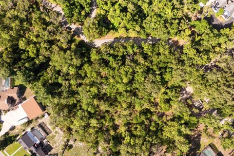 Terreno en venta en Brandon, Florida № 2107201 - foto 3