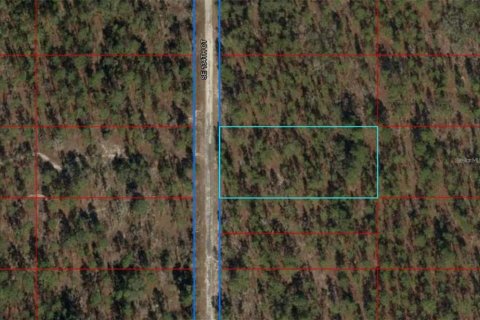 Land in Dunnellon, Florida № 2201276