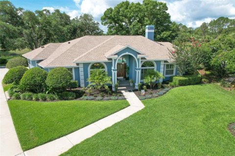 Villa ou maison à Valrico, Floride 4 chambres, 263.84 m2 № 2147651