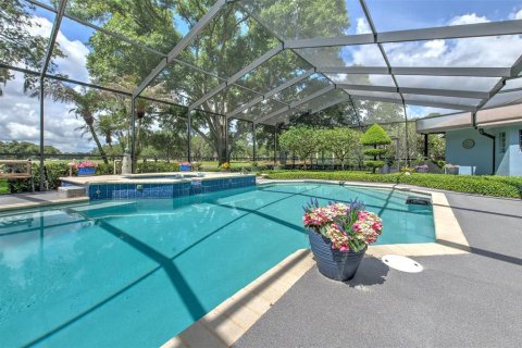 Villa ou maison à vendre à Valrico, Floride: 4 chambres, 263.84 m2 № 2147651 - photo 24
