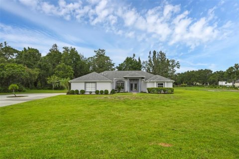 Villa ou maison à vendre à Tavares, Floride: 4 chambres, 233.74 m2 № 1799867 - photo 2