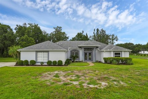 Villa ou maison à vendre à Tavares, Floride: 4 chambres, 233.74 m2 № 1799867 - photo 1