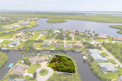 Land in Port Charlotte, Florida № 1323757 - photo 2