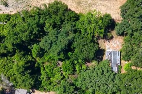 Terreno en venta en Seffner, Florida № 2094635 - foto 2