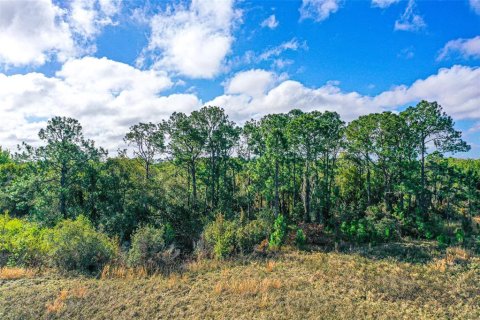 Land in Winter Haven, Florida № 2163475