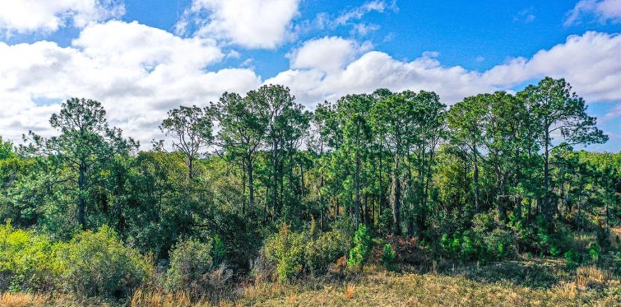 Land in Winter Haven, Florida № 2163475