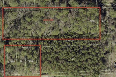 Land in Jacksonville, Florida № 2197047 - photo 2