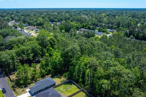 Land in Jacksonville, Florida № 2197047 - photo 8