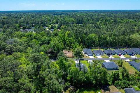 Land in Jacksonville, Florida № 2197047 - photo 14
