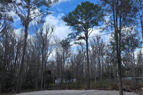 Land in Ocala, Florida № 2159054 - photo 9