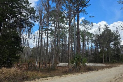Land in Ocala, Florida № 2159054