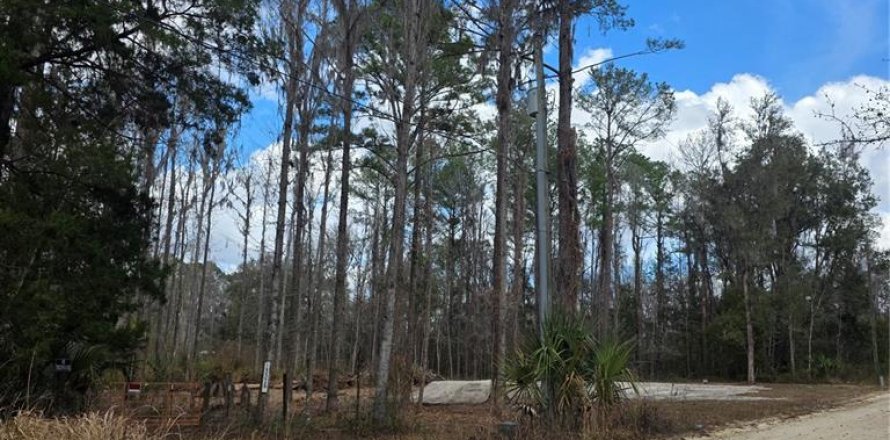 Land in Ocala, Florida № 2159054