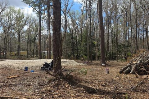 Land in Ocala, Florida № 2159054 - photo 5