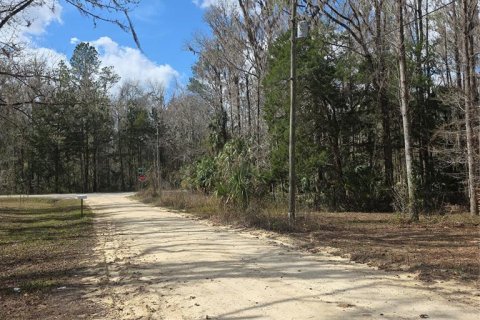 Land in Ocala, Florida № 2159054 - photo 10