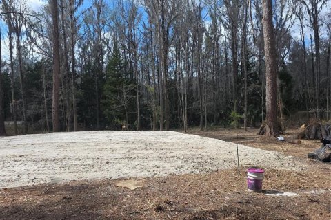 Land in Ocala, Florida № 2159054 - photo 8