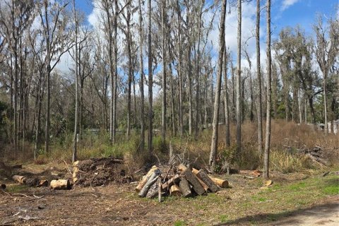 Land in Ocala, Florida № 2159054 - photo 6