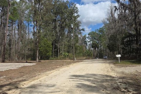 Land in Ocala, Florida № 2159054 - photo 11