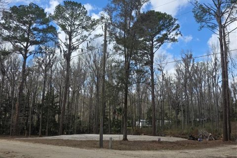 Land in Ocala, Florida № 2159054 - photo 2