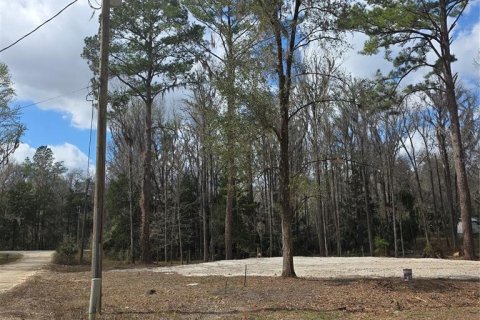 Land in Ocala, Florida № 2159054 - photo 3