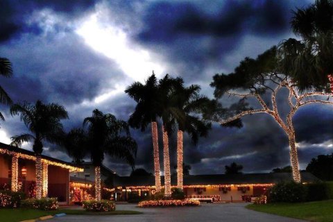 Condo in Lake Worth, Florida, 2 bedrooms  № 2400506 - photo 22