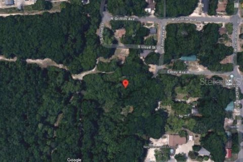 Land in Crestview, Florida № 2163451 - photo 4