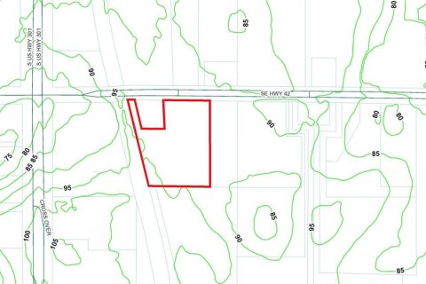 Land in Summerfield, Florida № 1574011 - photo 11