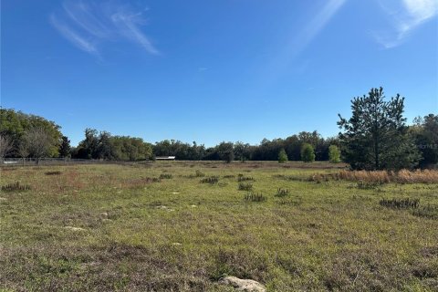 Land in Summerfield, Florida № 1574011 - photo 9