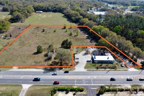 Land in Summerfield, Florida № 1574011 - photo 3