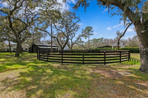 Villa ou maison à vendre à Odessa, Floride: 3 chambres, 316.33 m2 № 1590630 - photo 26
