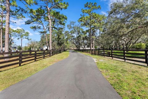 Villa ou maison à vendre à Odessa, Floride: 3 chambres, 316.33 m2 № 1590630 - photo 21