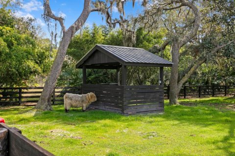 Villa ou maison à vendre à Odessa, Floride: 3 chambres, 316.33 m2 № 1590630 - photo 28