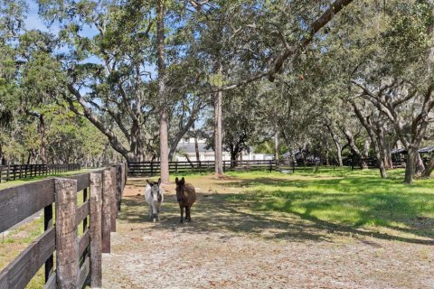 Villa ou maison à vendre à Odessa, Floride: 3 chambres, 316.33 m2 № 1590630 - photo 19