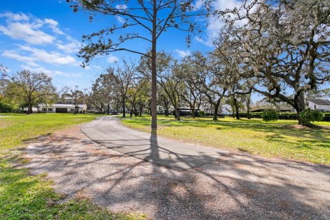 Villa ou maison à vendre à Odessa, Floride: 3 chambres, 316.33 m2 № 1590630 - photo 29