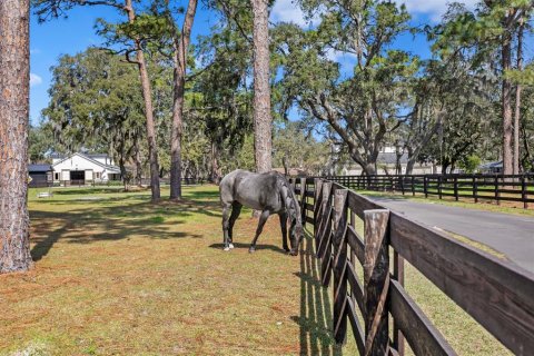 Villa ou maison à vendre à Odessa, Floride: 3 chambres, 316.33 m2 № 1590630 - photo 20