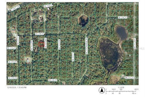 Land in Fort MC Coy, Florida № 2161410
