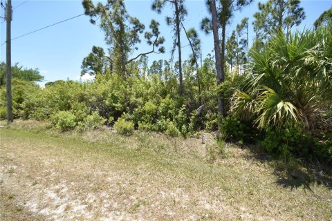 Land in Port Charlotte, Florida № 2212391 - photo 2