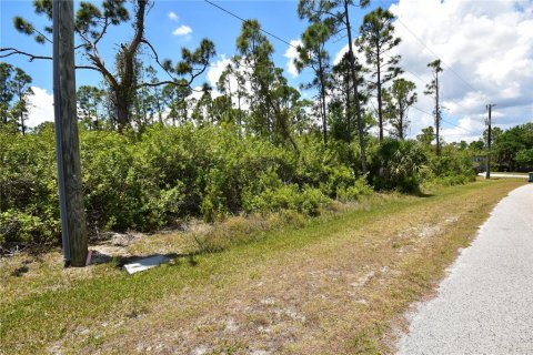 Land in Port Charlotte, Florida № 2212391 - photo 3