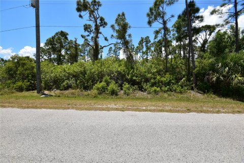 Land in Port Charlotte, Florida № 2212391