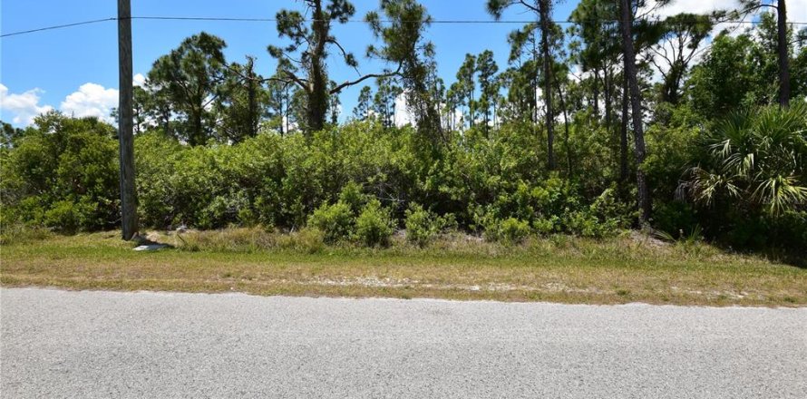 Land in Port Charlotte, Florida № 2212391