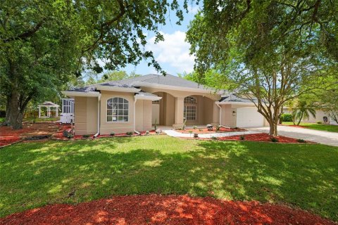 House in Plant City, Florida 4 bedrooms, 233.37 sq.m. № 2099769