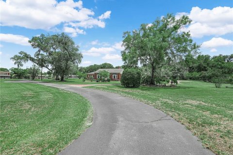 Villa ou maison à vendre à Wauchula, Floride: 34 chambres, 303.98 m2 № 2403253 - photo 4
