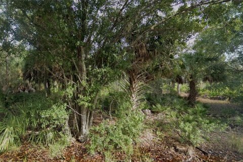 Land in Port Charlotte, Florida № 2163955