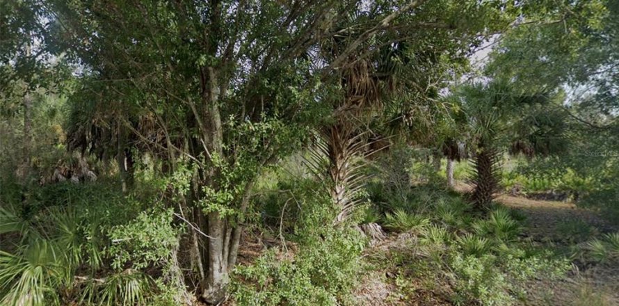 Land in Port Charlotte, Florida № 2163955