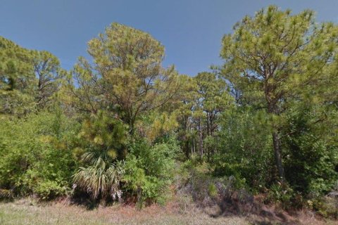 Land in Port Charlotte, Florida № 2162534 - photo 2